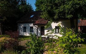 Siedlisko Dzika Kaczka
